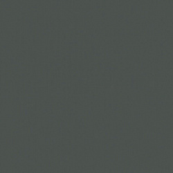 RAL 7043