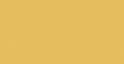 Your Color