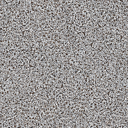 BA 0005