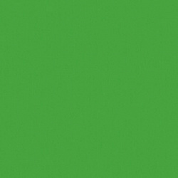 RAL 6018