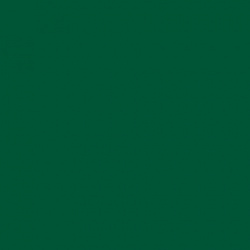 440 Verde Biliardo